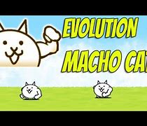 Image result for Battle Cats Macho Cat
