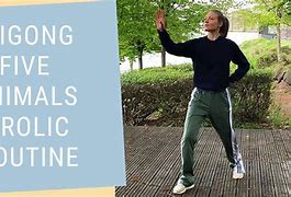 Image result for Five Animals Qigong