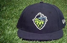 Image result for Cool Minor League Baseball Hats