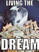Image result for Funny Dream Quotes