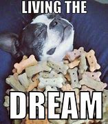 Image result for Memes About Dreams