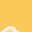 Image result for Yellow Grains Aesthetic