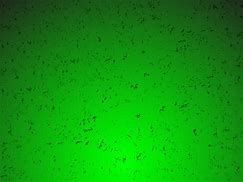 Image result for Dirty Green Texture