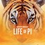 Image result for Life of Pi Movie Cover