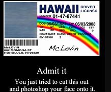 Image result for Hawaiian License Meme