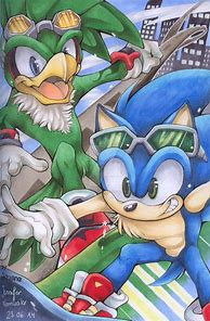 Image result for Sonic Riders PFP