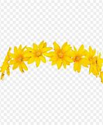 Image result for Flower Snapchat Filter Drawings