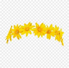 Image result for Crown Filter Flower