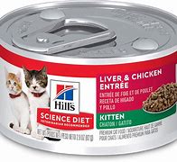 Image result for Cat Food Can Exploding