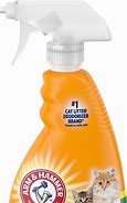 Image result for Arm and Hammer Cat Litter Deodorizer