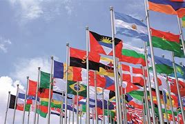 Image result for flags