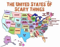 Image result for Modern Cool Map of the United States