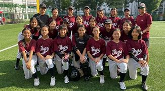 Image result for Hrhs Case Softball