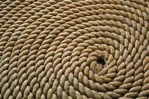 Image result for Actual Texture Photography