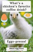 Image result for Egg Diet Jokes