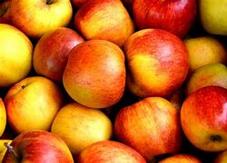 Image result for Fruit Apple France