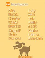 Image result for Funniest Dog Names