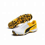 Image result for Men's Cricket Shoes