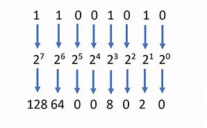 Image result for Binary Number Base