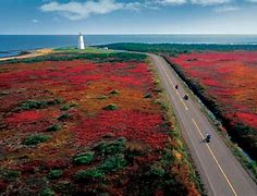 Image result for New Brunswick Canada