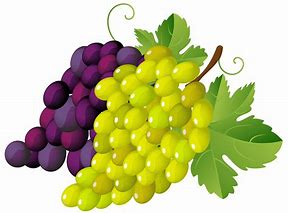 Image result for Green Grapes Cartoon