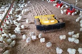 Image result for Robot Chicken Chair