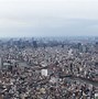 Image result for Tokyo Skyline View