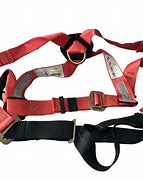 Image result for Carabiner Attached to Harness