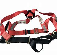 Image result for Full Body Harness with Fire Resistant Lanyard
