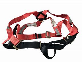 Image result for Double Clip Harness