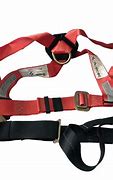 Image result for Safety Belt Harness