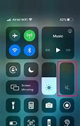 Image result for iPhone 5S Mute Button