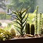 Image result for Garden View Out Window