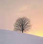 Image result for Winter Wallpaper iPhone Minimalist