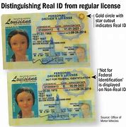 Image result for Real ID Driver's License