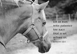 Image result for Horse Racing Inspiration Quotes