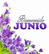 Image result for junio