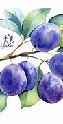 Image result for Watercolor Fruit in Procreate