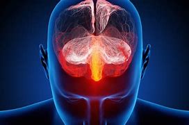 Image result for The Human Brain Is Evil