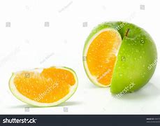 Image result for Apple Orange Hybrid