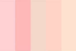 Image result for Champagne Pantone