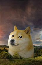 Image result for Doge Wallpaper for Phone