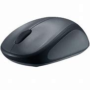 Image result for Megabyte Computer Mouse