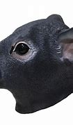 Image result for Masked Rat