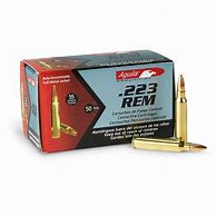 Image result for 223 Remington Ammo