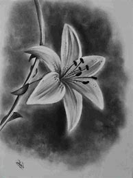 Image result for Abstract Charcoal Drawing Easy