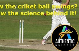 Image result for Cricket Swingball Book