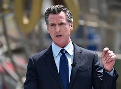 Image result for Gavin Newsom Recall Petition Form