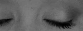 Image result for Eyelash Blinking GIF