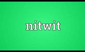 Image result for NitWit Definition